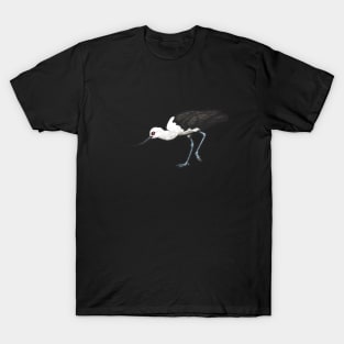 Andean Avocet T-Shirt